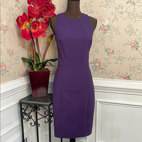 Jason Wu Runway Collection Purple Wool & Silk Lined Fitted Dress 8 (best fits 4) - Picture 1 of 8